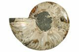 Cut & Polished Ammonite Fossil (Half) - Madagascar #250385-1